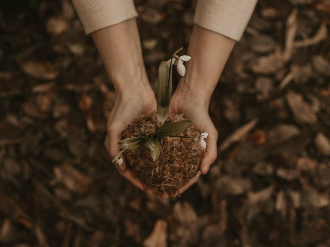 4 Ways to Create Eco Friendly Yard Space