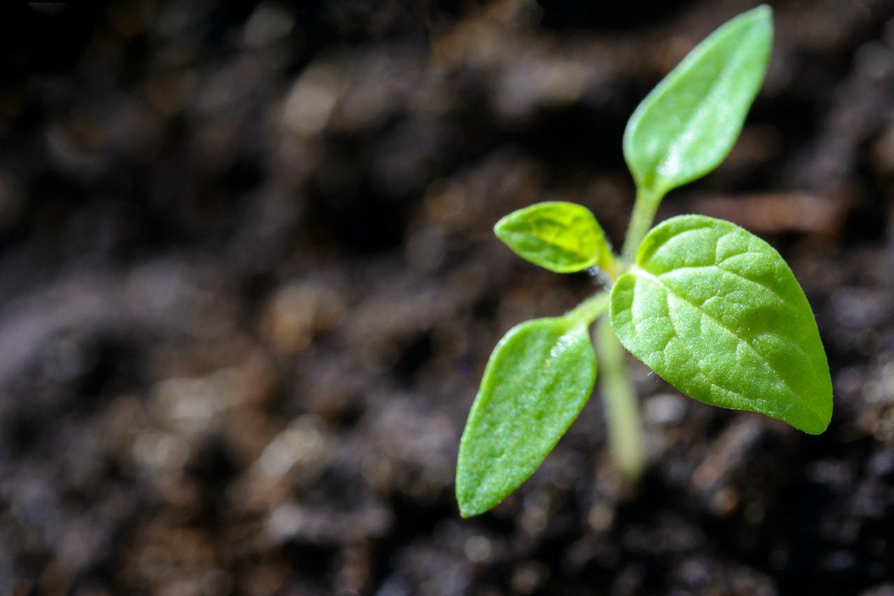 6 Simple Changes to Make Right Now for the Planet