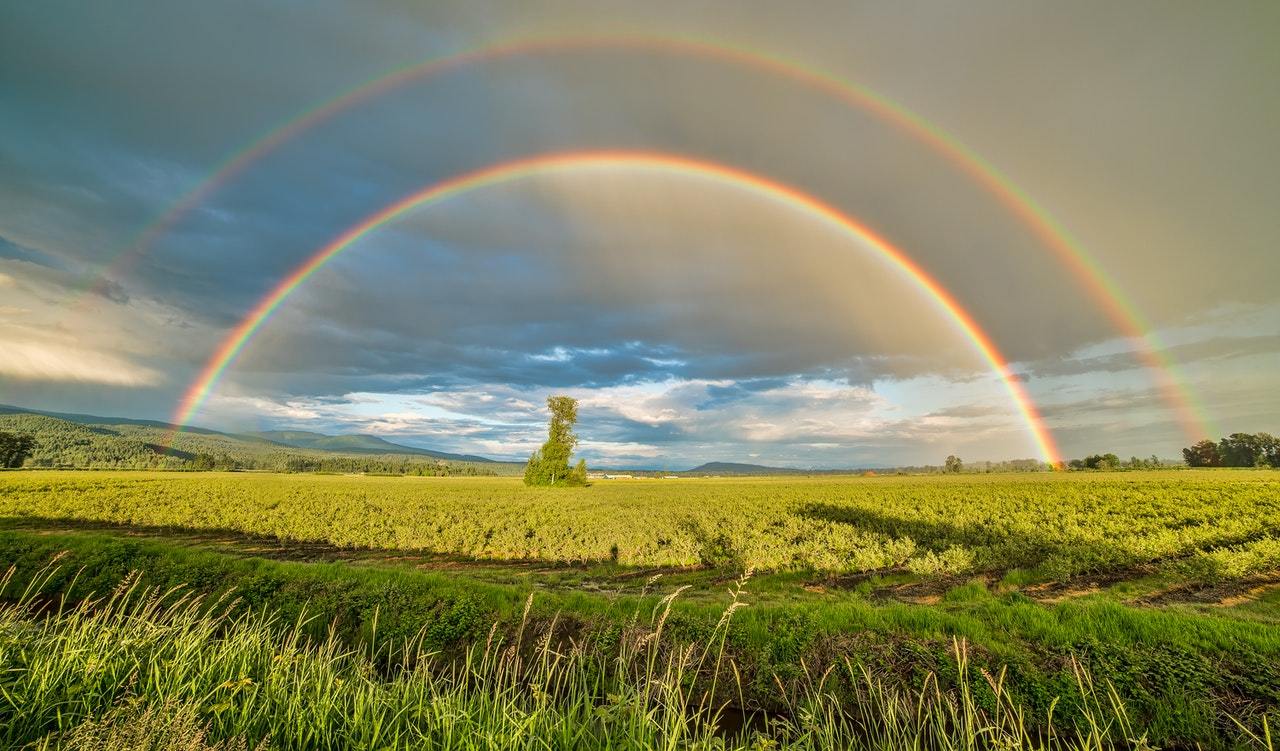 Earth Month : a History of the Environmental Movement (part 2)