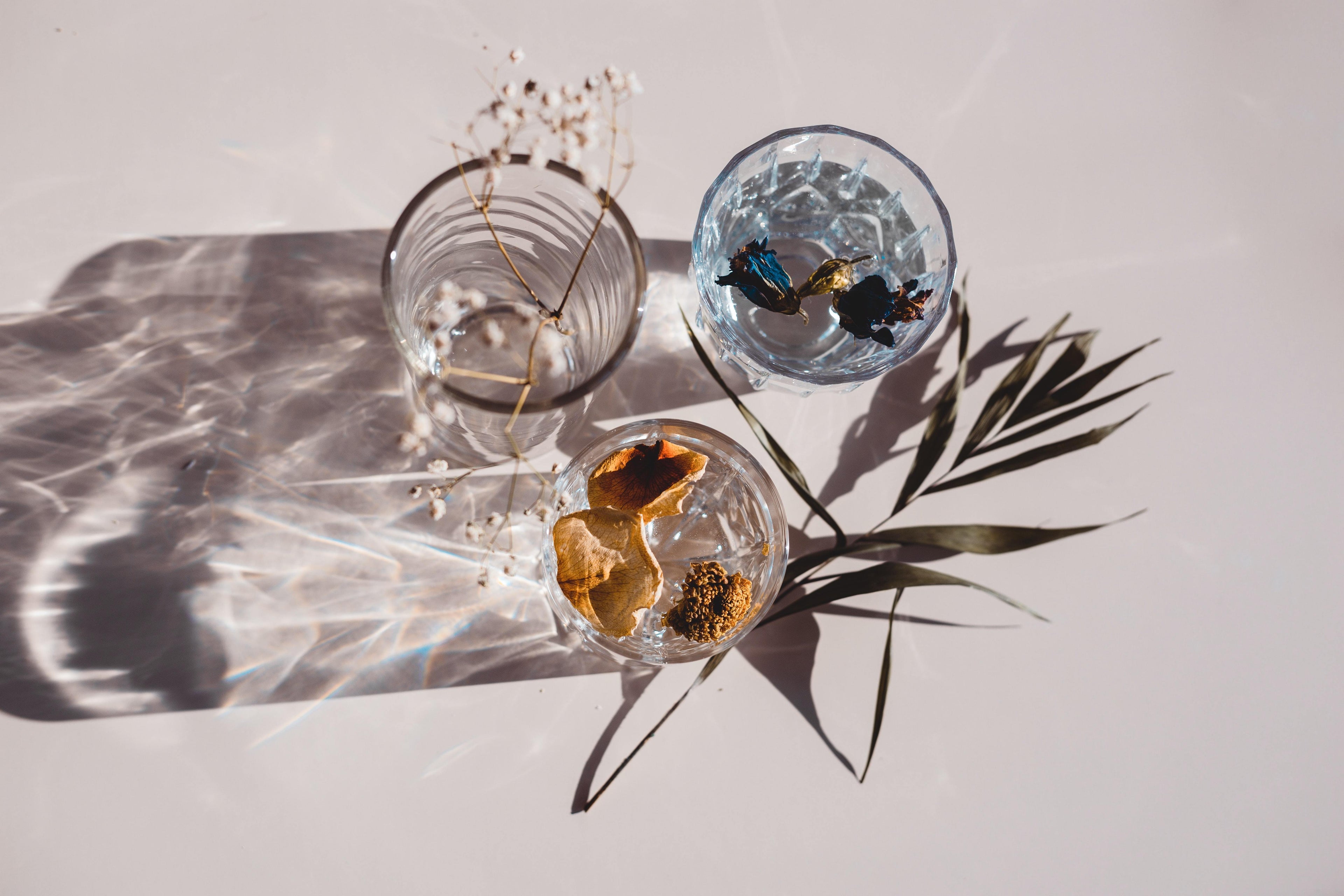 Glass VS Plastic