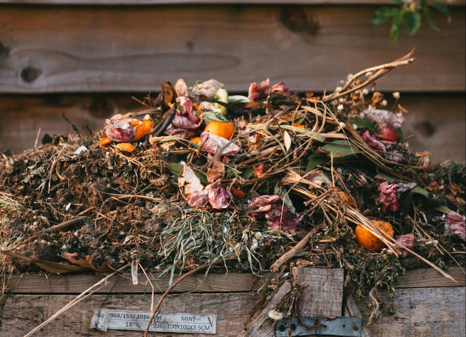 How To Compost