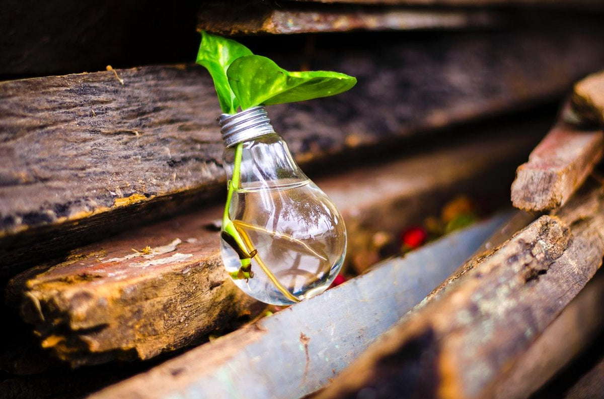 Why Reduce comes before Reuse and Recycle – LastObject